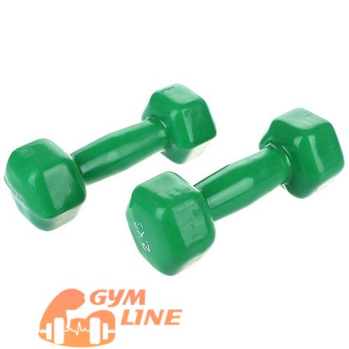 دمبل ایروبیک روکش دار 2 کیلوگرمی بسته دو عددی دمبل ایروبیک روکش دار 2 کیلوگرمی بسته دو عددی