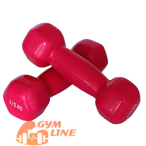 دمبل ایروبیک 1.5 کیلوگرمی بسته دو عددی دمبل ایروبیک 1.5 کیلوگرمی بسته دو عددی