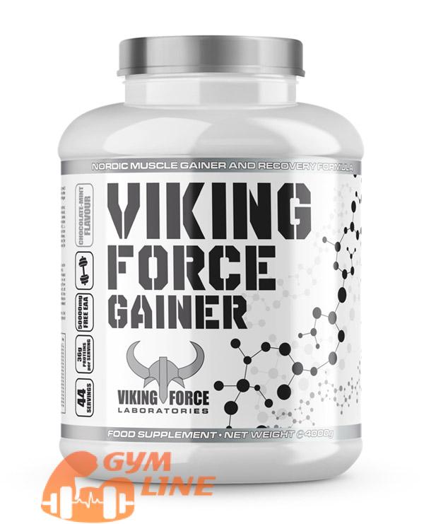 گینر وایکنیگ فورس ۴ کیلویی | VIKING FORCE GAINER گینر وایکنیگ فورس ۴ کیلویی | VIKING FORCE GAINER