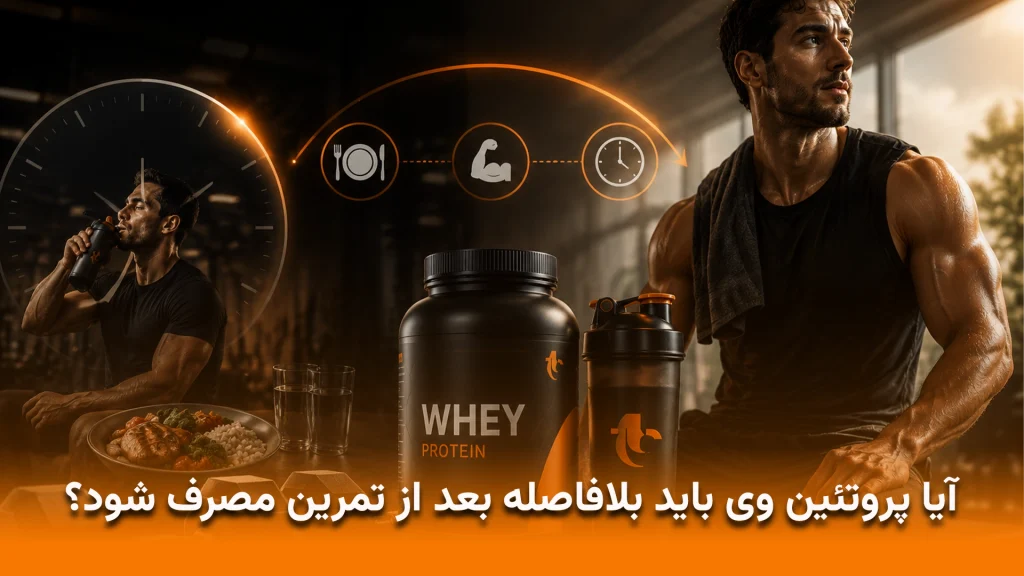آیا پروتئین وی باید بلافاصله بعد از تمرین مصرف شود؟