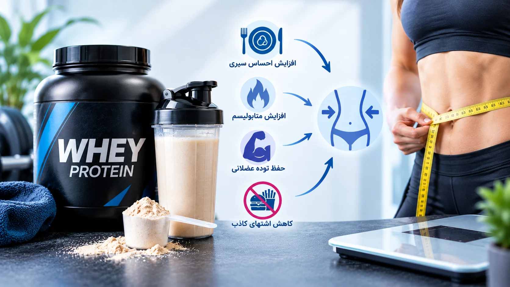 پروتئین وی چگونه به کاهش وزن کمک می کند؟